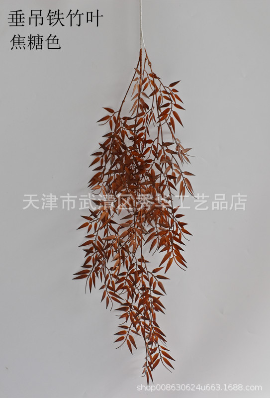 垂吊铁竹叶焦糖色_副本