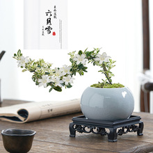 ����ѩ�辰���¼t�������U���҃ȴ�̨С�Gֲ���k���Ҳ����������