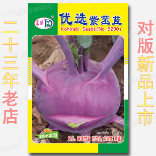 ���x�����{�N�� �t���^�˷N�� ���o���{���mا�{ا�m���m�^����{