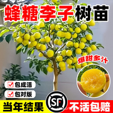 ���ڷ������Ә���޽��ش�����Ó���������ϱ����ͺ����Ԯ���Y��