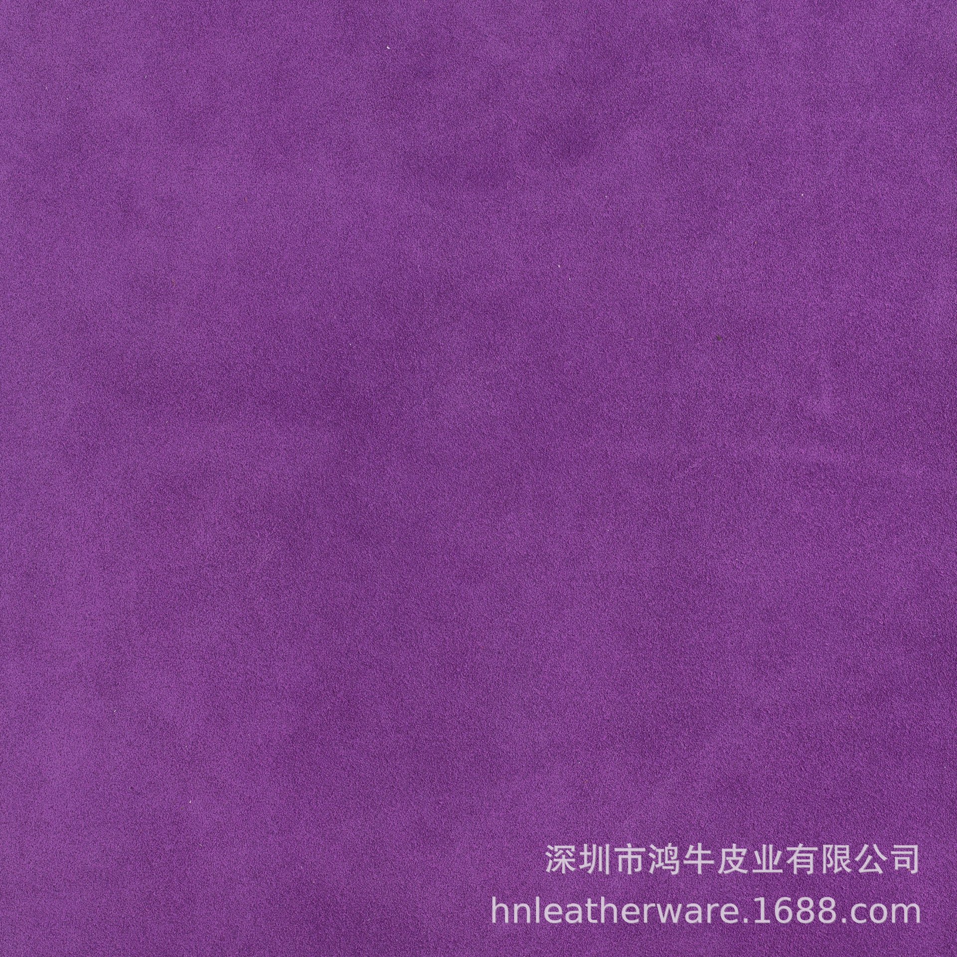 진한 보라색