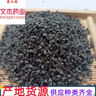 �²�����ș�����l�²����в�ș�F؛�������²��ѡ����Ă�ș�I��
