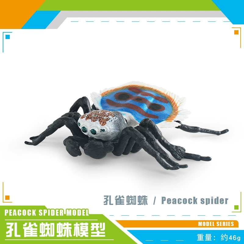 Cross -border hot selling simulation wild insect animal spider model gray -blue poison spider big spider spider tideline static ornaments