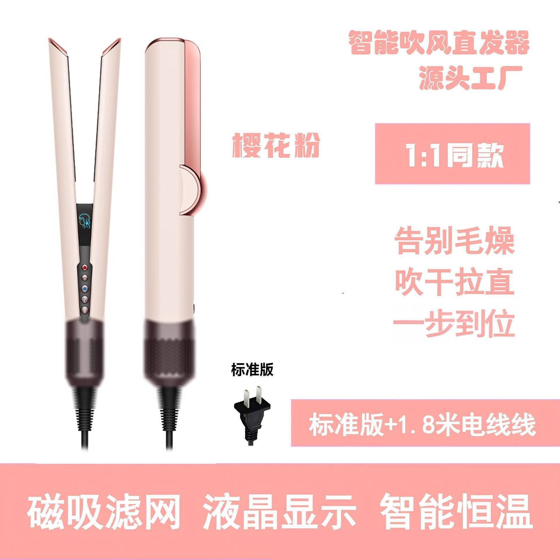 일몰 장미