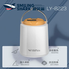 手电筒;头灯头戴电筒;野营/露营灯