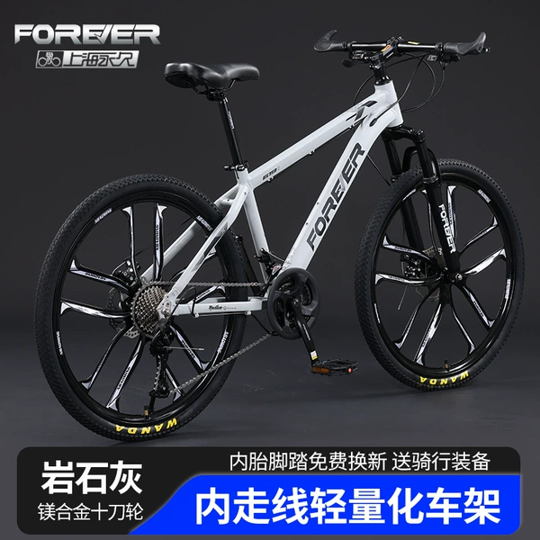 Rock Gray-Aluminum Alloy Frame-Magnesium Alloy Ten-Blade Wheel