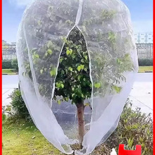 ������x�W�־W��ɏ�F�����{ݮ��÷�߲˻��ܾGֲ���B���x�W���ϻ�