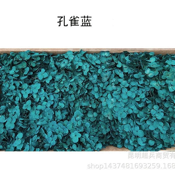 [Вечная Life Flower Hydrangea] Анна Градиентный цвет Лист Hydramid Книга цветов оптом DIY цветочная коробка материал для просмотра