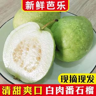 �V����ʯ����İŘ����rˮ��������ܛŴ����1/3/5/9����l���]