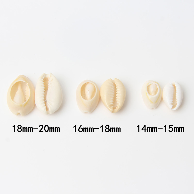 Natural Shell Pendant Scallop Handmade Pendant Earrings Diy Material Bag Earrings Ear Accessories 20 pels