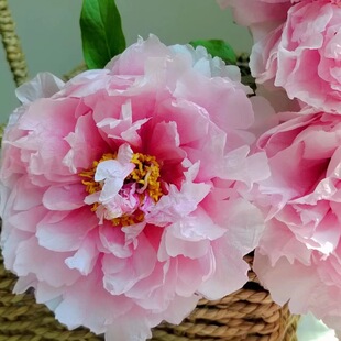��ܽ���^�pĵ���������ںʝ�ĵ���ͺ������ذ�ĵ�����������ĵ��