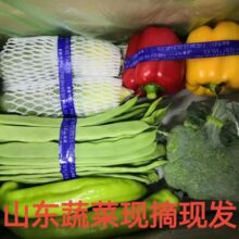 ���r�߲˽M������ܿ���˽��S���}���������������Ͳ˲��ˮa�ذ��]