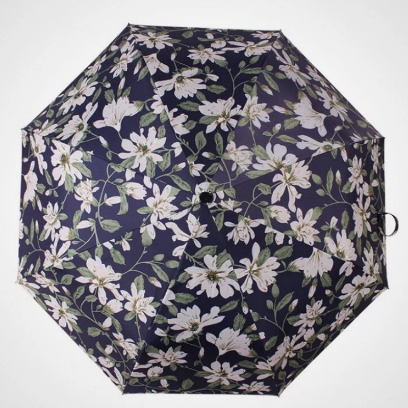 �����պ�С���°ٺϻ�����ɡ�ڽ��۵���ɹ����ɡ��Ůѧ������