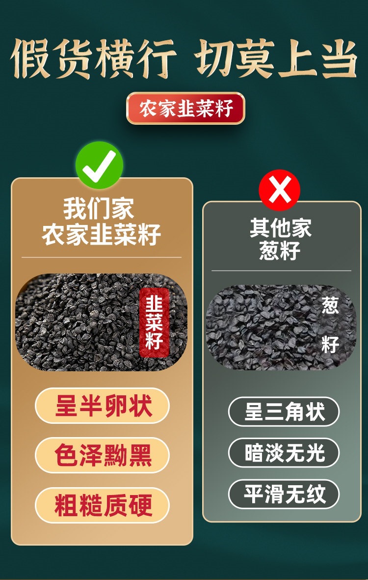 Chinese Chive Seed Jiu Cai Zi Roasted Dried Herb Traditional TCM Wellness Tea Ingredient quality and texture