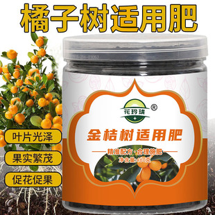 ��۠I�BҺɳ�ǽ����ӽ��ӌ��÷������Ե��Թ���ٻ�����Һ�w��