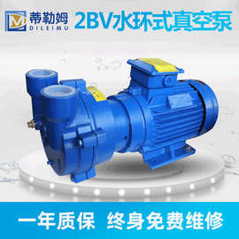 2BV水环式真空泵 工业高真空水循环铸铁不锈钢真空泵 水环真空泵