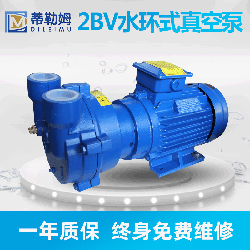 2BV water ring vacuum pump industrial high vacuum water circulation cast iron stainless steel vacuum pump water ring vacuum pump