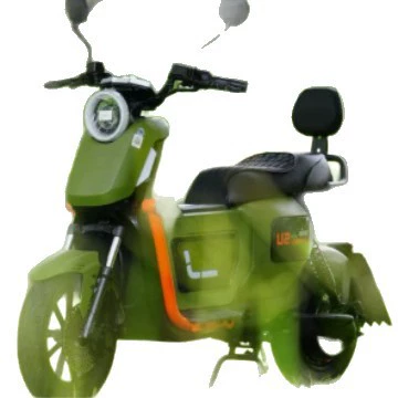 electric bike electric bicycle, Elektrikli motosikletlər