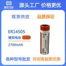 常温电池锂亚电池组ER14505 2700mAh3.6V设备医疗高容量电池