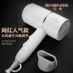クロスボーダー大出力ブルーライトヘアドライヤー家庭用ヘアサロン寮学生速乾ブローメーカー卸売りヘアドライヤー
