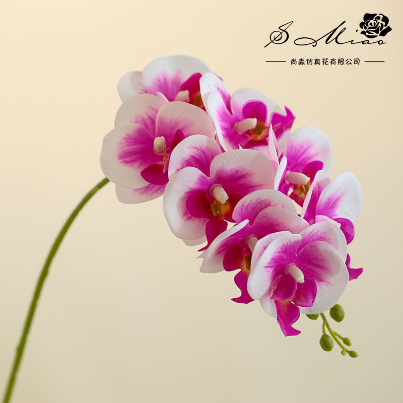 8 flores 3 hojas se sienten Phalaenopsis bonsai flor artificial de gama alta sala de estar decoración floral artificial en maceta flor artificial image 12