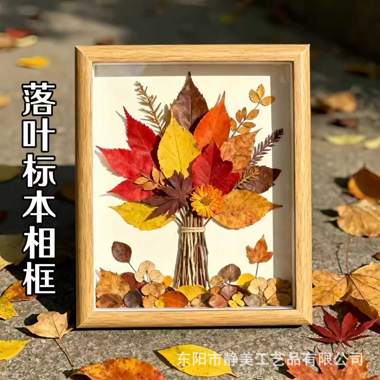 Three-Dimensional Hollow Specimen Photo Frame DIY Handmade Gift Picture Frame Table Autumn Fallen Leaves Collection Photo Frame Empty Frame Wholesale