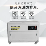 大泽动力20/25/30KW汽油发电机 电子调速 60HZ工业应急 远程操控