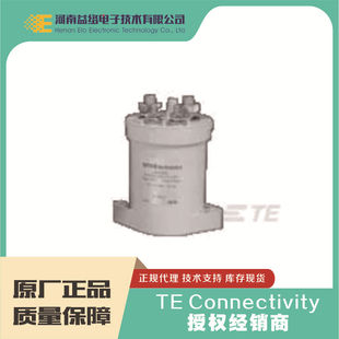 TE/TAICO 9-1618389-8 LEV100A5ANG DC Contector Original Spot