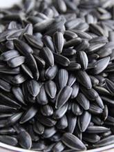 ͽ2؛СԭζʳͿ㱡}5؛