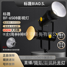 标晟650W大功率补光灯双色温摄影灯650Wled氛围灯视频打光灯室内