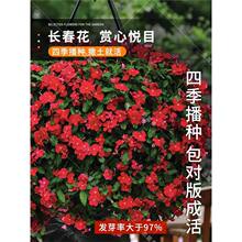 �L�����N�ӻ������մ��N�Ӷ༾�_���׻�ͥԺ�����҃����⻨�N����