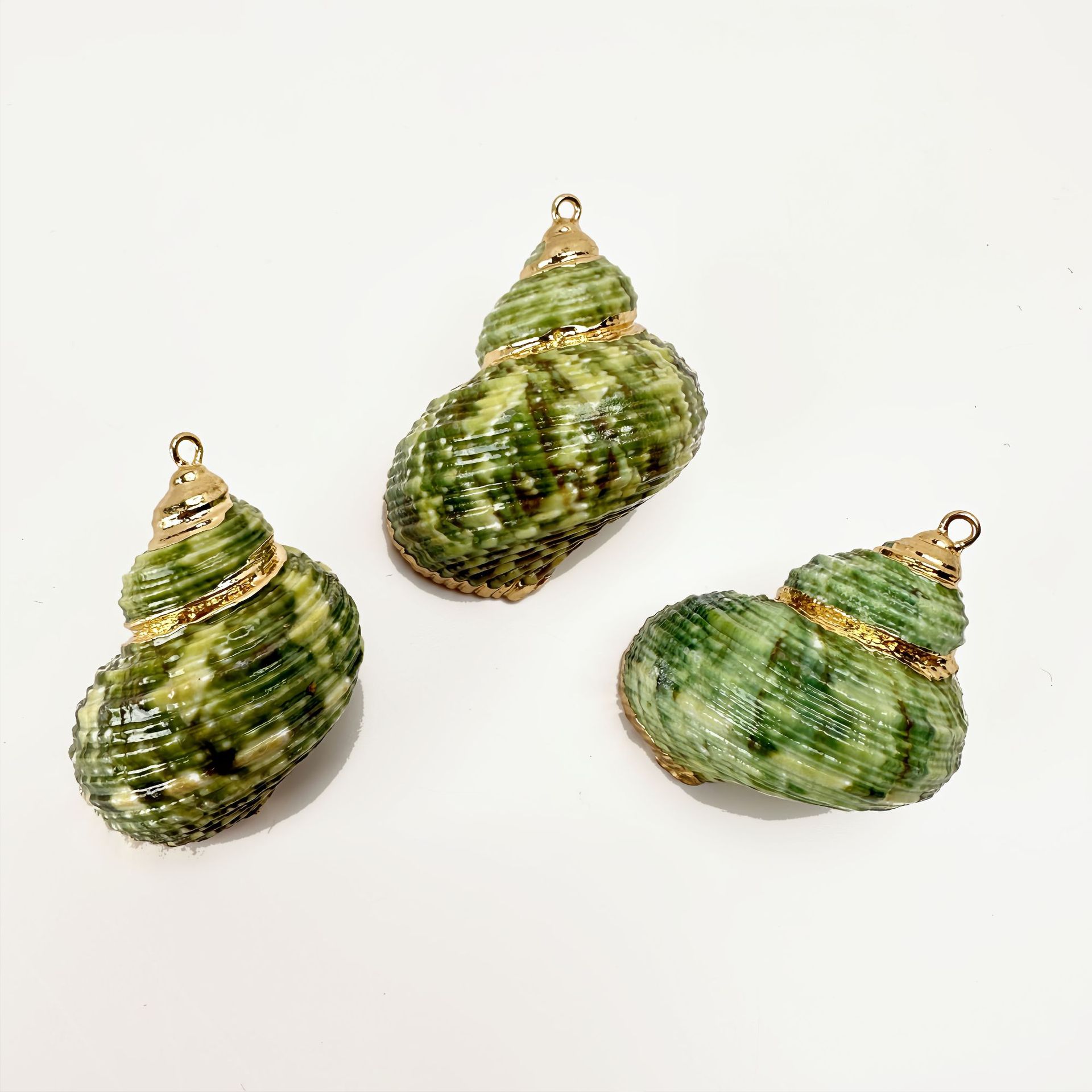 녹색 껍질 달팽이 3마리