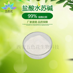 �}��ˮ�K�|98% ��ĸ����ȡ�� ˮ�K�| ����ă� �F؛���] �gӭӆُ