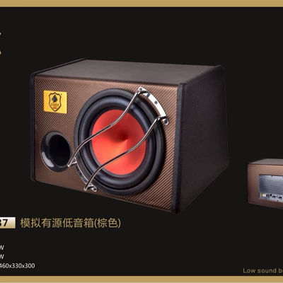 High-Quality 12V Active Car speaker/subwoofer