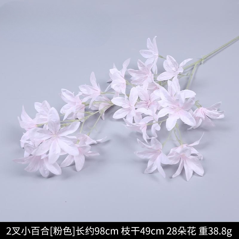 2 fork small lily (Tiger head orchid)