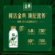 金典鲜牛奶235ml*2+450ml*4组合装鲜奶高钙营养早餐巴氏