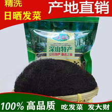 Օ񺣰l˸؛ϴl˴b^l˺횲˰lؔ躣z