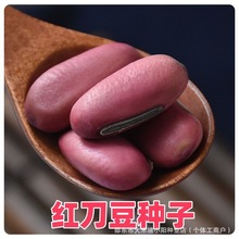 �t�����N�ӿ�ʳ�õ�����؛�����Ӵ󵶶��Ǹɶ���ⶹ�tܿ����ș��