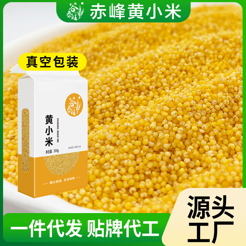 内蒙古赤峰敖汉黄小米金苗k1当季五谷杂粮农家正宗2025年新小黄米
