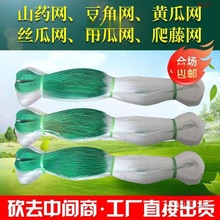 ���پW�r��ֲ��ɽș�S���㶹��϶��ǽz�ϵ��ϰ���������W�Nֲ�W