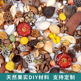 定制果实DIY植物材料装饰挂件摆件花环手工挂饰花干果diy组合跨境