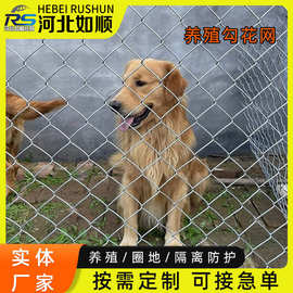 镀锌铁丝隔离防护栅栏户外浸塑农牧场圈地养殖羊驼骆驼编织勾花网
