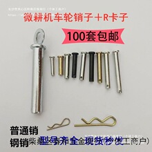 ����΢���C��������r��΢���C���N�N�8X40/8x50�i�N�SR��܇݆�S