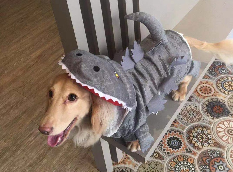 850daba3d947fb65b55d06c3e00cfb