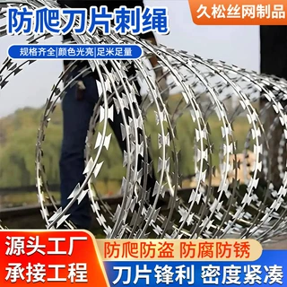 刀片刺绳热镀锌刺丝滚笼围墙防盗防爬铁丝户外隔离防护网刀片刺绳
