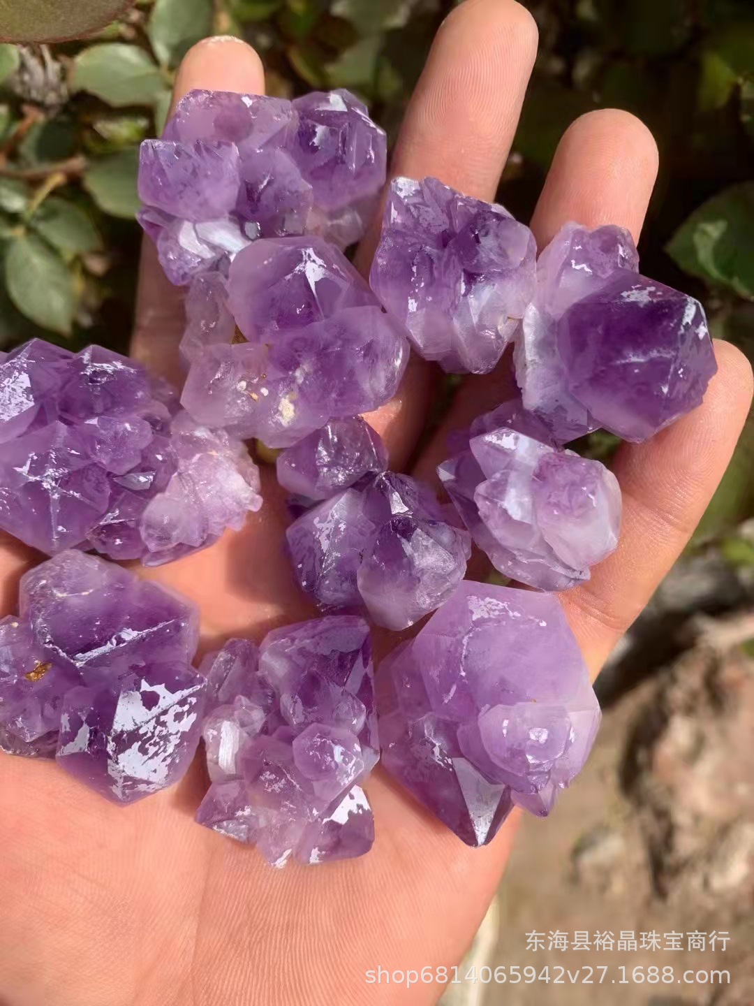 微信图片_20220408212726