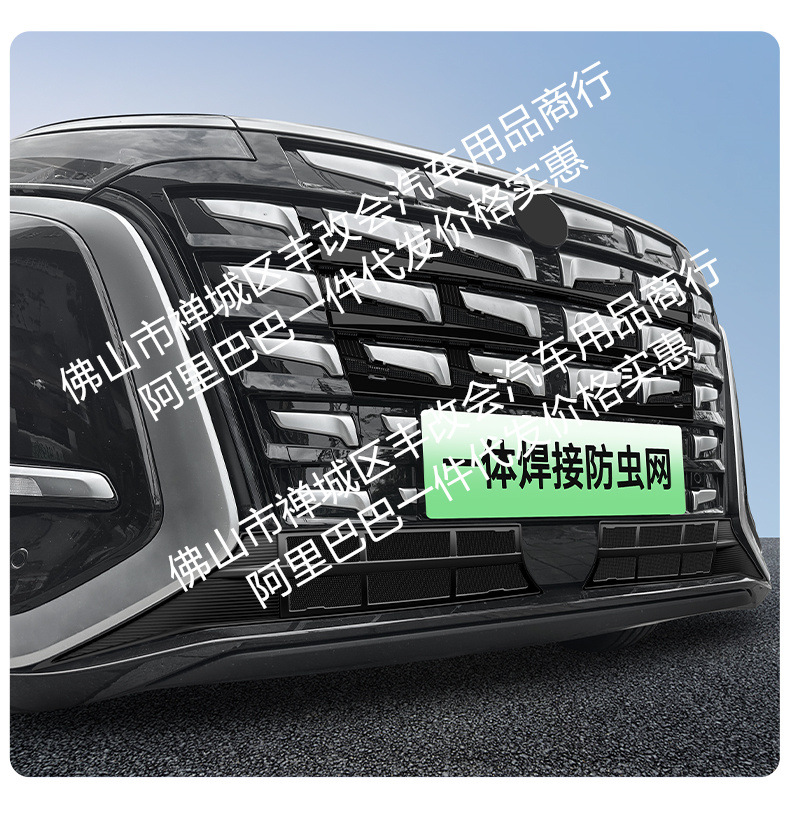 Suitable for Denza D9 Integrated Welded Car Insect-Proof Net Front Grille Special Modified Decorative Strip Accessories