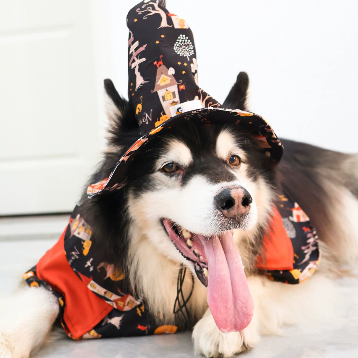 Оригинальный питомец Хэллоуин фэнтези ночь плащ шляпа набор большой собачий плащ золотистый волосы Сацума одеваются