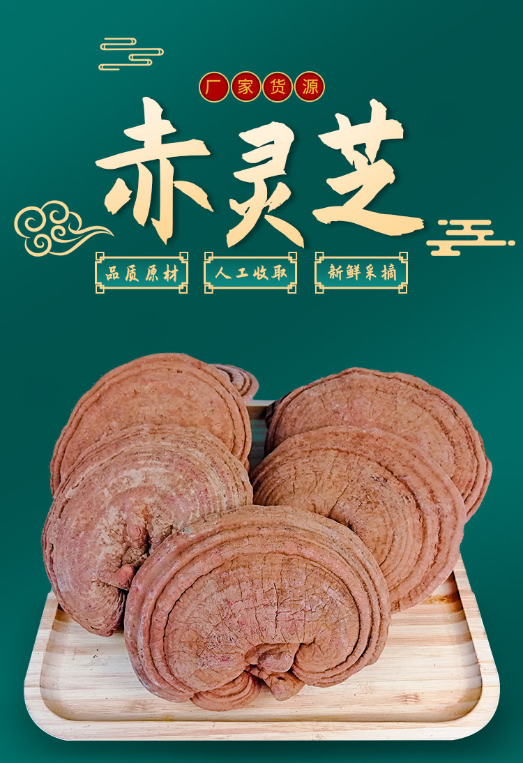 Whole Reishi Mushroom Dried Red Lingzhi Log-Grown 500g Bag for Soup and Decoction overview