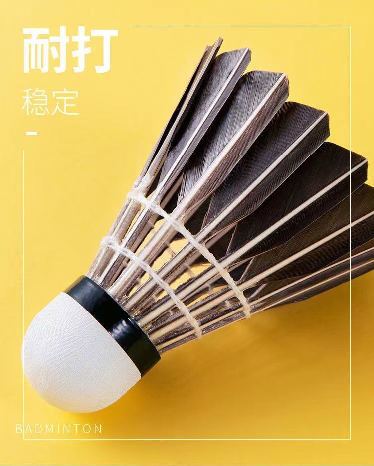 cb0790b1-d799-484c-b578-23ce1810ec5e.jpe